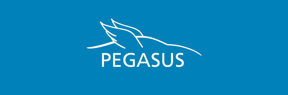 PEGASUS Symposium 2017